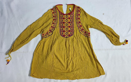 Ethnic fusion mustard embroidered top (small)